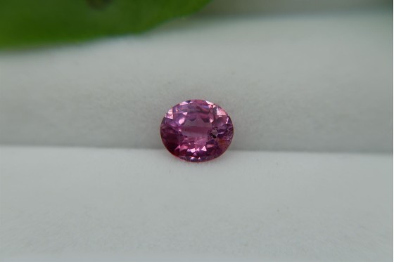 Vivid Pink Sapphire - Oval - 1.35 ct - COR authenticated