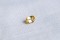 Yellow Sapphire - Cushion - 0.752 ct - IGL certified