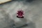 Strong Pink Sapphire - Octagon - 1.15 ct - COR authenticated