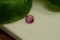 Strong Pink Sapphire - Round - 0.55 ct - COR authenticated