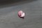 Pastel Pink Sapphire - Oval - 0.95 ct - COR authenticated