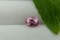 Vivid Pink Sapphire - Oval - 1.50 ct - COR authenticated