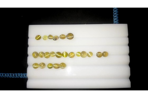 23 Unheated Chrysoberyl Cat's Eye Lot - Cabochon - 11.80 ct - COR authenticated