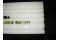 14 Unheated Demantoid Garnet Lot - Various - 6.25 ct - COR authenticated