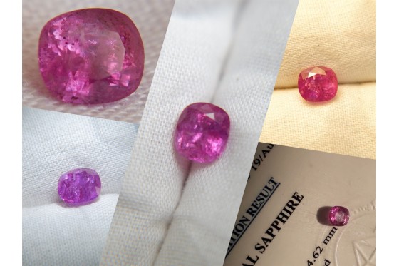 Bi-Color Hot Pink Sapphire - Cushion - 1.475 ct - IGL certified