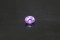 Pink Sapphire - Oval - 1.01 ct - COR authenticated