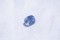 Vivid Blue Sapphire - Rectangular - 1.71 ct - AGL certified