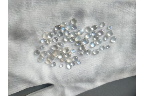 Unheated Rainbow Moonstone Lot - Cabochon - 36.90 ct - COR authenticated