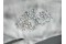 Unheated Rainbow Moonstone Lot - Cabochon - 36.90 ct - COR authenticated