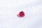 Ruby Vivid Red - Cushion - 0.759 ct - IGL certified