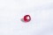 Ruby Vivid Red - Cushion - 0.759 ct - IGL certified