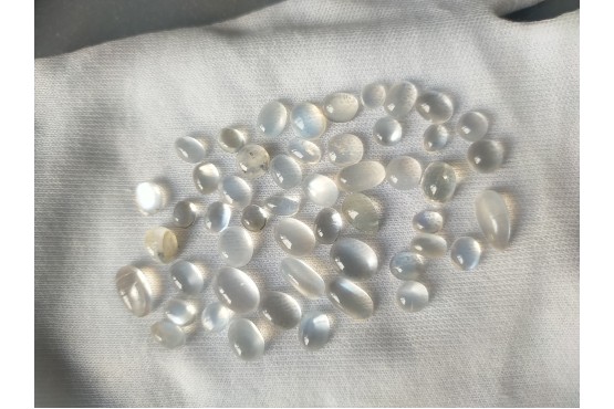  Unheated Rainbow Moonstone Lot - Cabochon - 63.75 ct - COR authenticated
