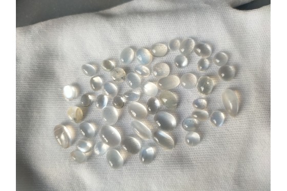 Unheated Rainbow Moonstone Lot - Cabochon - 63.75 ct - COR authenticated