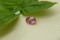 Violetish-Pink Pastel Sapphire - Oval - 1.15 ct - COR authenticated