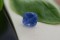Kashmir Blue Sapphire - Cushion - 4.55 ct - COR authenticated