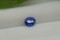 Vivid Cornflower Blue Sapphire - Oval - 1.80 ct