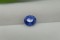 Vivid Cornflower Blue Sapphire - Oval - 1.80 ct