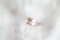 Pastel Orange-Pink Sapphire - Rectangular - 1.16 ct - COR authenticated