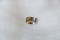 Blue/Yellow Premium Cut Sapphire - Rectangular - 0.75 ct - COR authenticated