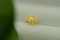 Intense Neon Yellow Sapphire - Rectangular - 2.10 ct - COR authenticated