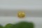 Intense Neon Yellow Sapphire - Rectangular - 2.10 ct - COR authenticated
