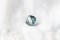 Blue-Green Sapphire - Cushion - 1.85 ct - COR authenticated