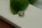 Vivid Pastel Yellow Sapphire - Octagon - 1.40 ct - COR authenticated