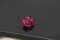 Tourmaline - Rectangular - 1.80 ct - COR authenticated