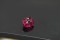 Tourmaline - Rectangular - 1.80 ct - COR authenticated
