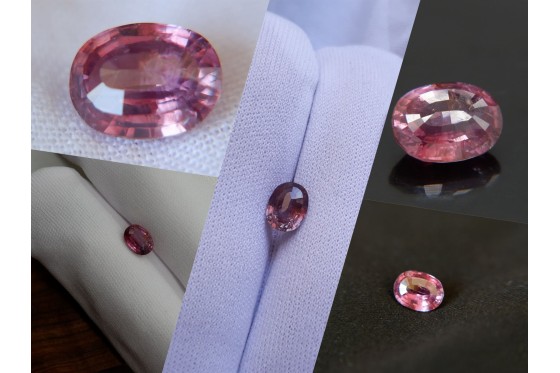 Red-Pink Sapphire - Oval - 1.48 ct - COR authenticated