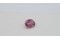 Red-Pink Sapphire - Oval - 1.48 ct - COR authenticated