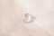Smokey Silver Blue - Cushion - 2.19 ct - COR authenticated
