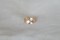 Pastel Bi-Color Peach Pink Freehand Sapphire - Rectangular - 0.94 ct - COR authenticated