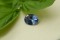 Vivid Cornflower Blue-White Sapphire - Oval - 1.509 ct - AGL certified