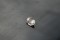 Rare Brown Sapphire - Oval - 1.35 ct