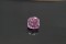 Padparadscha-Like Sapphire - Cushion - 2.11 ct - COR authenticated