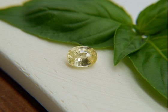 Lemon Yellow Sapphire - Oval - 1.50 ct