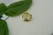 Lemon Yellow Sapphire - Rectangular - 1.10 ct