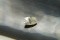 Pastel Yellow Sapphire - Rectangular - 1.85 ct