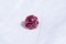 Tourmaline - Octagon - 1.95 ct - COR authenticated