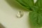 Pastel Yellow Sapphire - Oval - 1.30 ct
