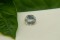 Pastel Yellowish-Blue Sapphire - Oval - 2.05 ct