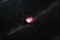 Vivid Hot Pink Sapphire - Oval - 0.48 ct - GIA certified