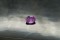 Violet Pink Sapphire - Oval - 1.20 ct