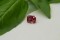 Pinkish-Orange Sapphire - Rectangular - 1.15 ct