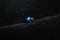 Vivid Royal Blue Sapphire - Oval - 0.34 ct - GIA certified