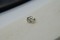 Pastel Yellow Sapphire - Oval - 1.25 ct