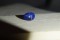Cornflower Blue Star Sapphire - Cabochon - 2.98 ct - CSL certified