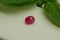 Ruby Purplish Red - Oval - 1.05 ct - COR authenticated