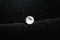 Crisp White Sapphire - Round - 0.61 ct - GIA certified